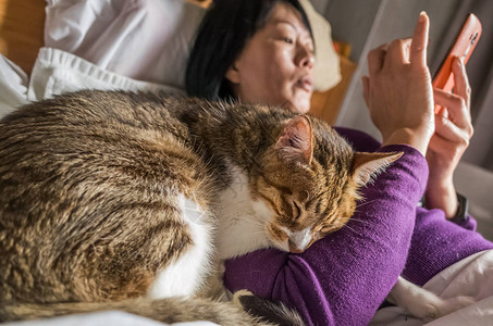 妇女与她的猫在图片