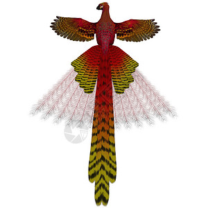 凤凰火鸟是再生或更新生命的神话象征图片