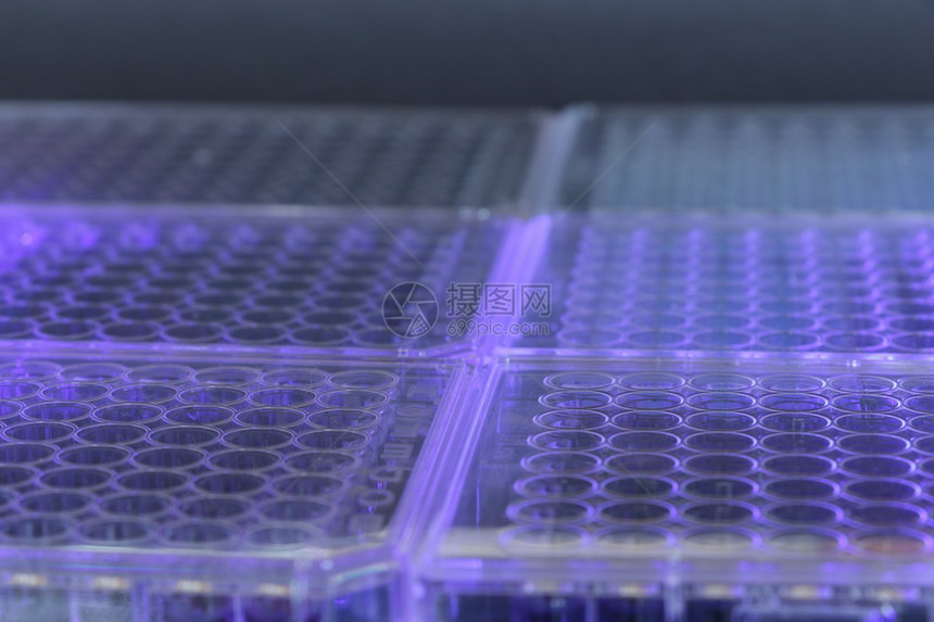 实验室材料微孔板和玻璃图片