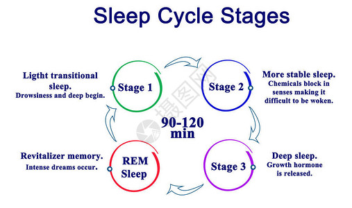 睡眠周期阶段图背景图片