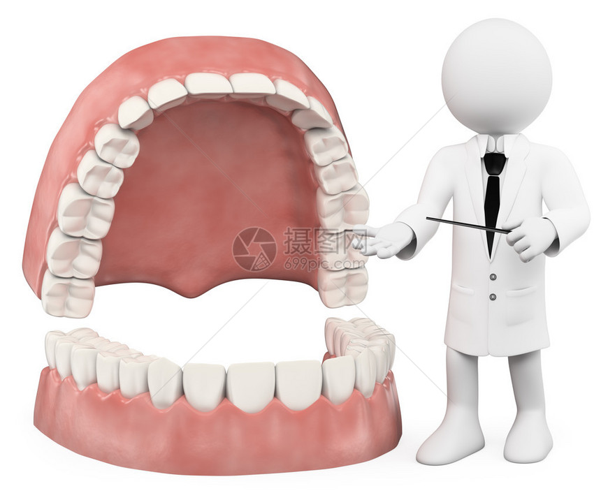 3D白人教授显示假牙孤图片