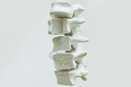 脊柱骨质疏松症3d渲染图片