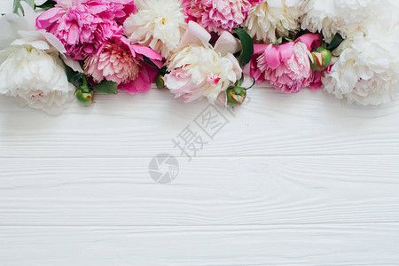 白色木制背景上的白色和粉红色牡丹花图片