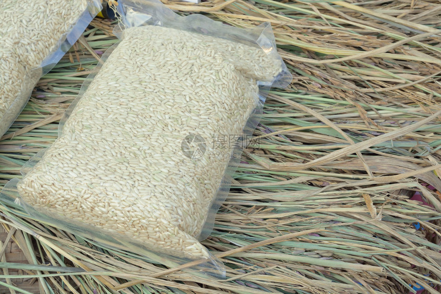 天气或环境中的白长米密封或稻田背景上图片