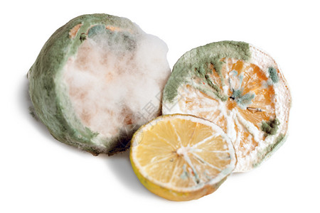 白色背景上分离出的发霉柑橘类水果背景图片