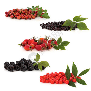 野生果实收藏的胡须大草莓玫瑰薯黑莓和罗兰浆背景图片
