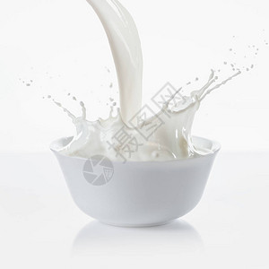 牛奶在白色背景的白色碗里溅起的水花图片