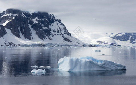 南半球的冰川和冰山地球上的全球气候变化维护地球生态背景图片