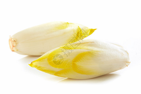 白色背景上的新鲜菊苣图片