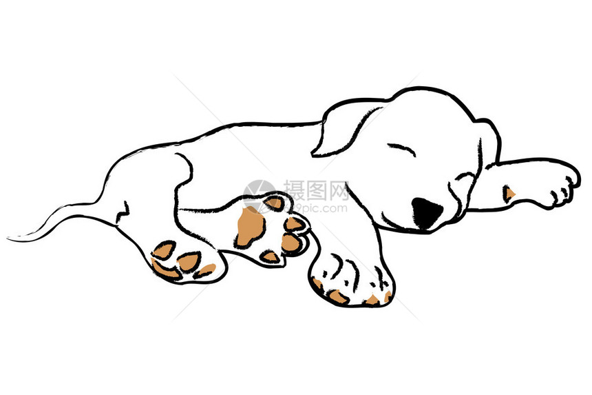 手绘白色背景上睡着的小狗图片