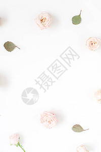 花框由米色玫瑰桉树叶和白色康乃馨制成背景图片