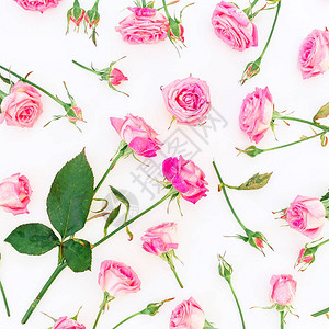 花朵图案白背景上有粉红玫瑰平坦的图片