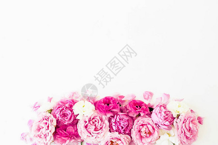 白色背景上的粉红玫瑰花的框架构成平面顶部视图片