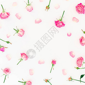 白色背景上制成的玫瑰花蕾和花瓣的花框图片