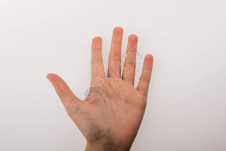 白色背景上的人类手掌和手指图片