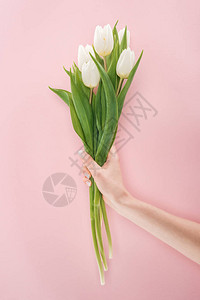 女人拿着春天花束的剪影白色郁金香图片
