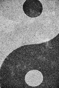 Yin和Yang是自然界正负平衡的象征图片