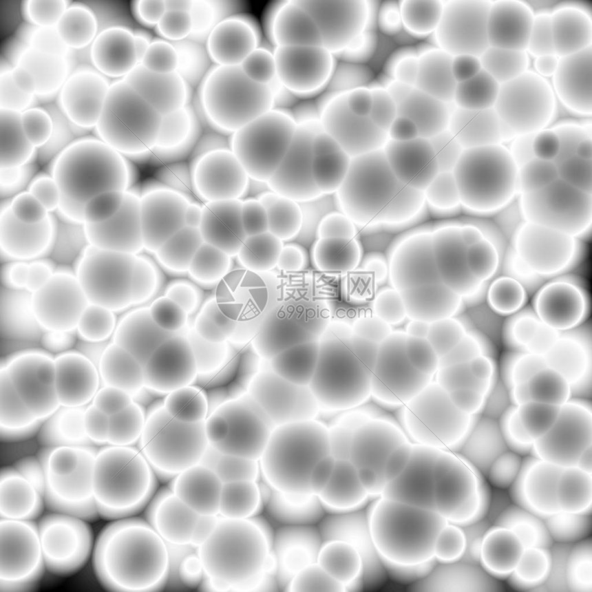 显微镜下的白细胞图片