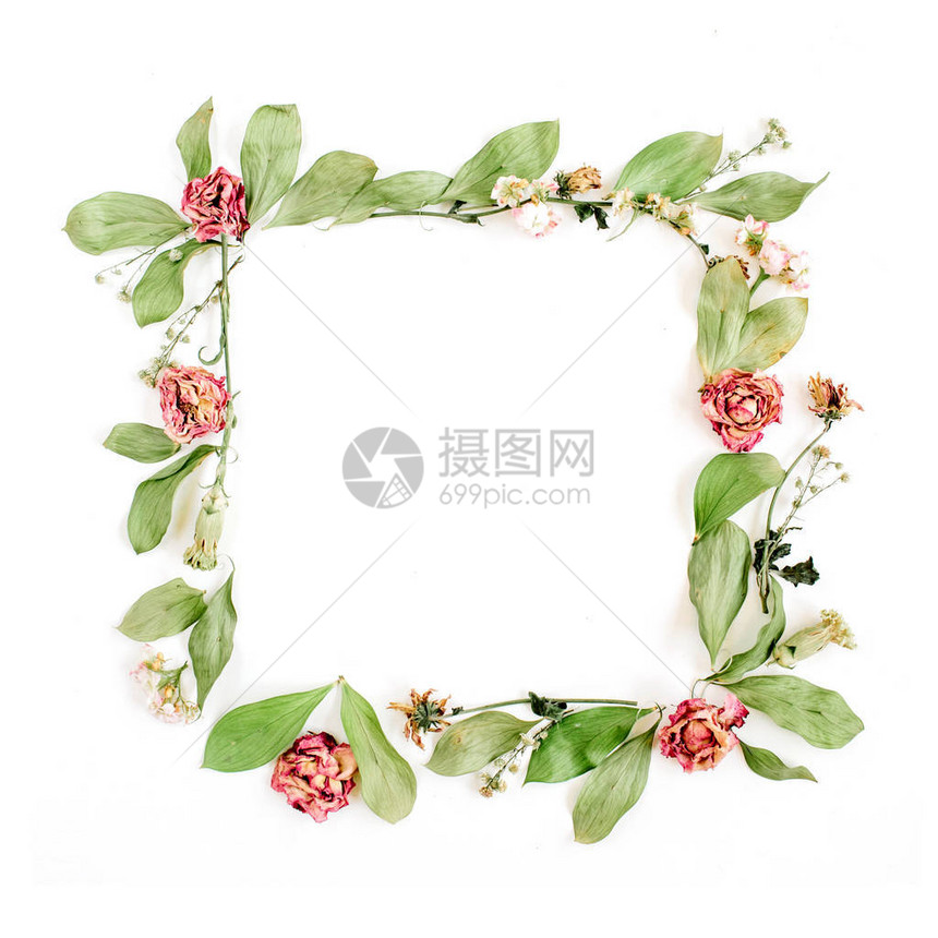 花朵图案玫瑰野花树枝和叶与白色背景图片