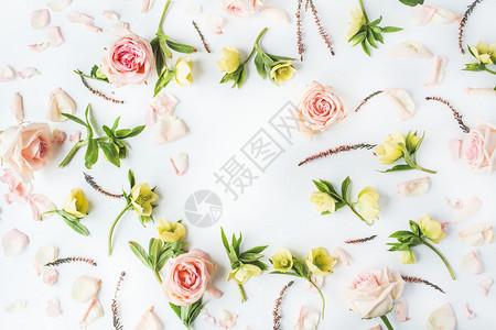 白色背景上孤立的粉红玫瑰树枝叶和花瓣平面图片