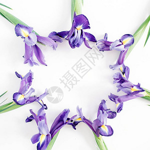 圆形花环由白色背景的紫虹花制成平坦躺图片