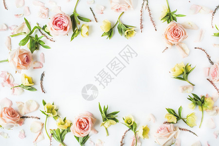 白色背景上孤立的粉红玫瑰树枝叶和花瓣平面图片