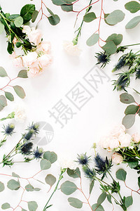 由米色玫瑰花刺花白色背景上的桉树枝制成的圆形框架花环图片