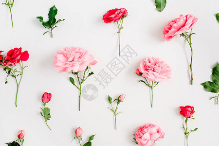 由粉红色和红色玫瑰绿叶白色背景上的树枝制成的花卉图案图片