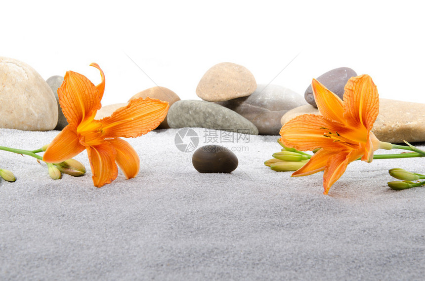 用鹅卵石和灰色沙滩上的橙色百合花组成图片
