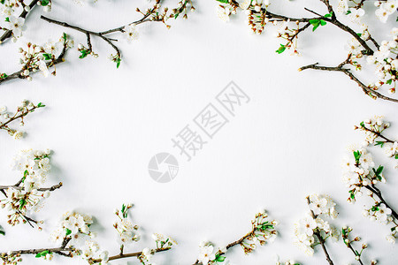 花环框架与白色的花朵和孤立的白色背景上的树枝图片