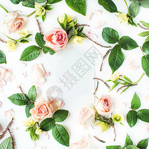 白纸粉红玫瑰树枝叶和花瓣的空白框图片
