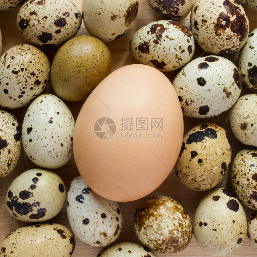 鸡蛋和鹌鹑蛋顶视图图片