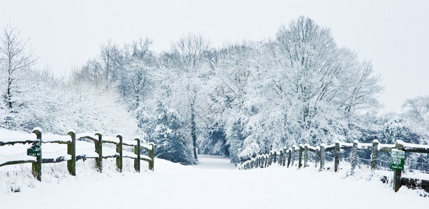 下雪冬季风景与英语乡图片