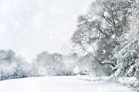 英国农村大雪暴雨下的图片