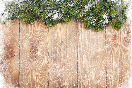雪和风树的旧木质料图片