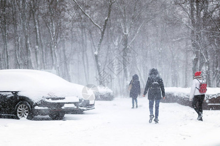 在大雪期间图片