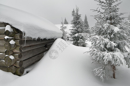 村里的冬天雪中图片