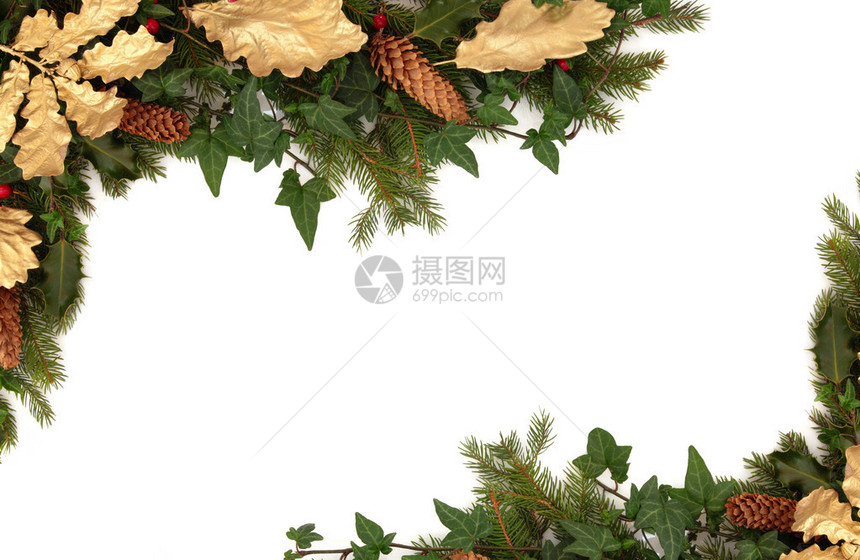 圣诞的边框是霍利伊芙松果金橡树叶和白种树叶图片
