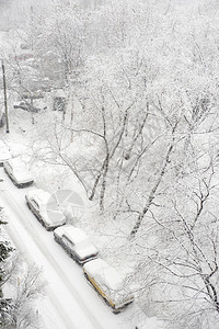 在降雪期间的冬天汽车在镇图片