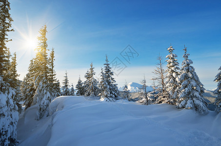 山地谷中阳光明媚的冬季风景图片