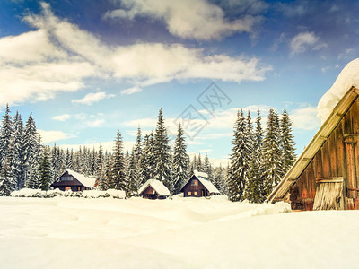 斯洛文尼亚阿尔卑斯欧洲的冬季度假屋图片
