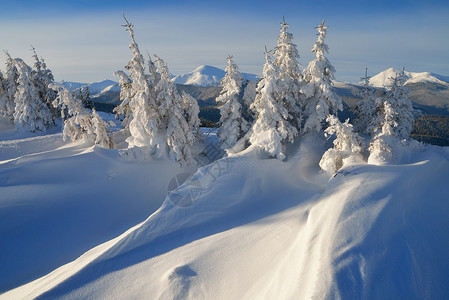 圣诞风景冬季奇幻乐园山林中白图片