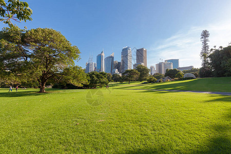悉尼的海德公园和远处的建筑图片