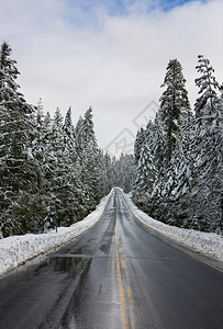 穿过白雪皑的森林的道路图片