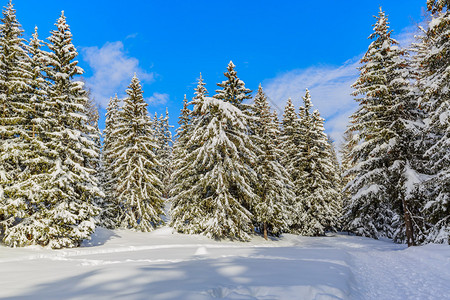 冬季风景雪覆盖了阿图片