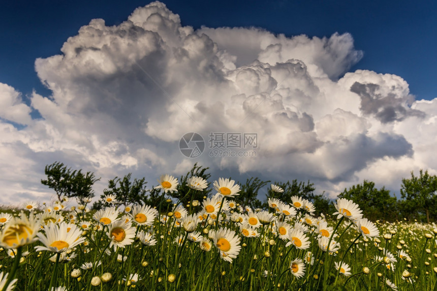 偏远农村地区乡村草原图片