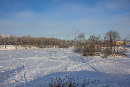 冬季公园景观美丽的景观图片
