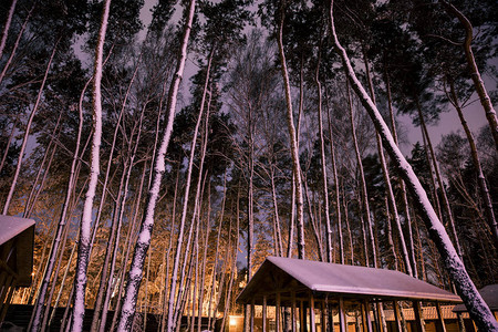 夜晚白雪皑的森林中的木屋图片