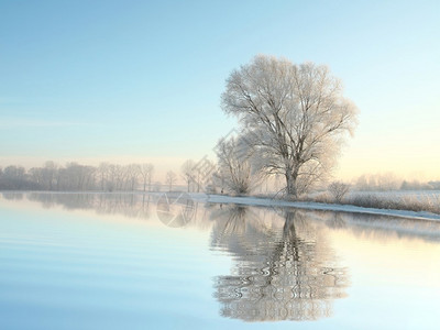 升起照亮的冰冻树木的冬季风景图片