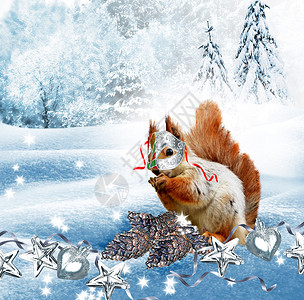 冬天树林里的松鼠新年贺卡图片